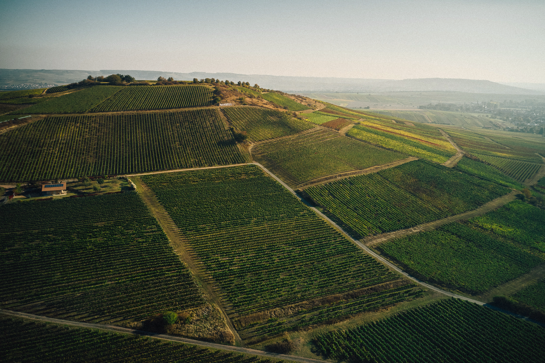 Weinlage Kreuznacher Paradies